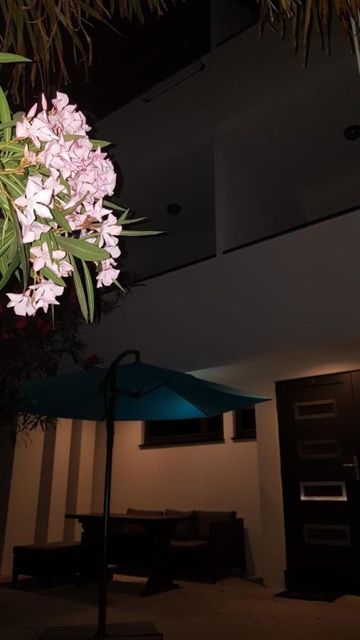 Apartments Star With Pool Biograd Na Moru Bagian luar foto