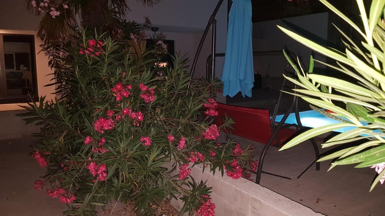 Apartments Star With Pool Biograd Na Moru Bagian luar foto