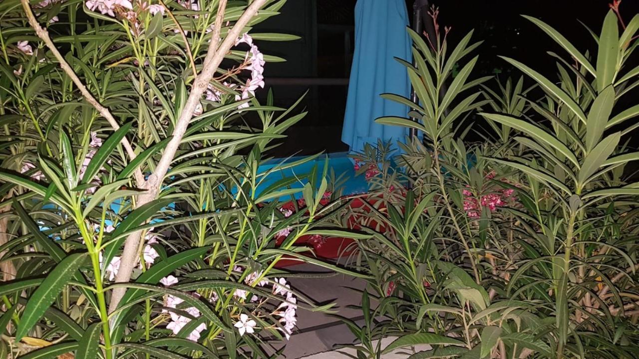 Apartments Star With Pool Biograd Na Moru Bagian luar foto